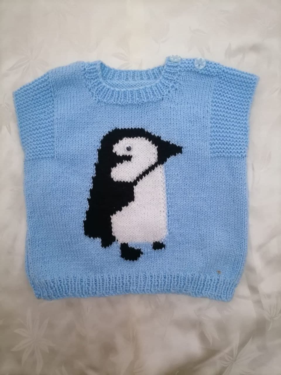 Knit Blue Penguin Jersey